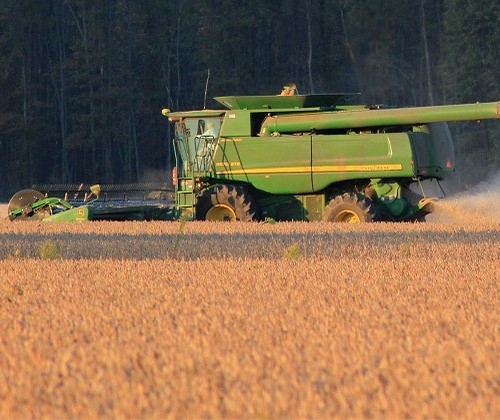 Agricultores aproveitam tempo firme para agilizar colheita na região