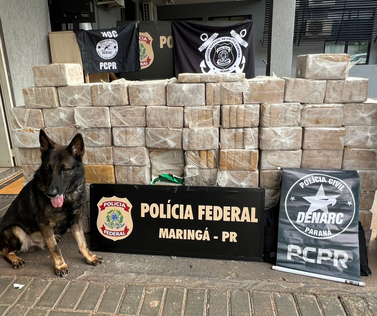 Ação da Polícia Federal e do Denarc apreende mais de 400 kg de cocaína 