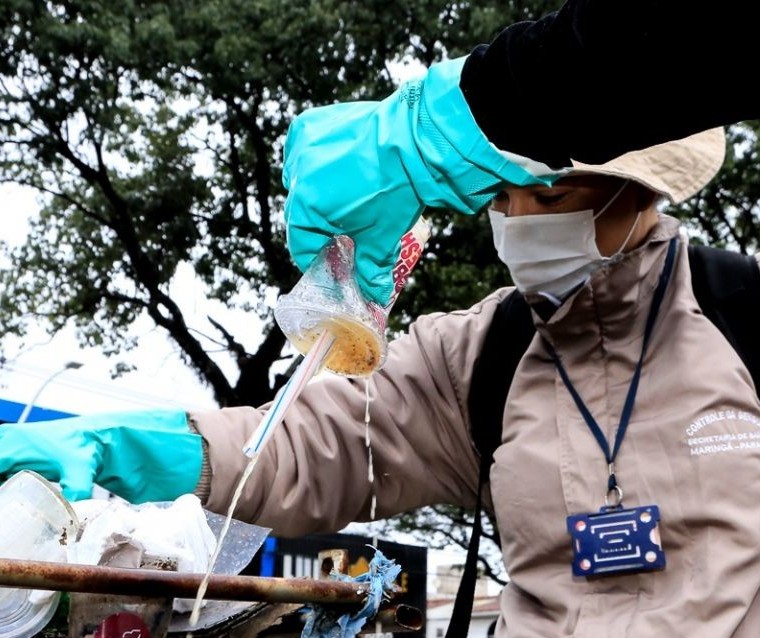 Com aumento de casos, Maringá está perto de declarar epidemia de dengue