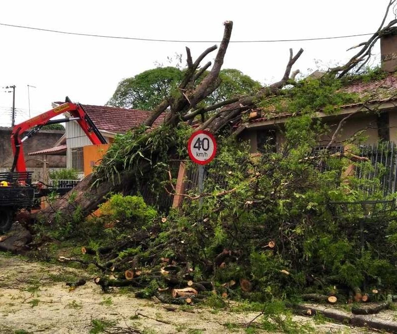 Temporal quebrou 38 postes em Maringá; 3,7 mil imóveis continuam sem energia