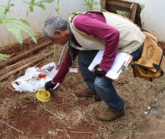 Sarandi, Maringá e Marialva realizam mutirão de combate à dengue