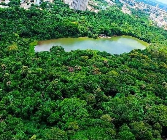 Projeto de lei institui 15 de outubro como o aniversário do Parque do Ingá