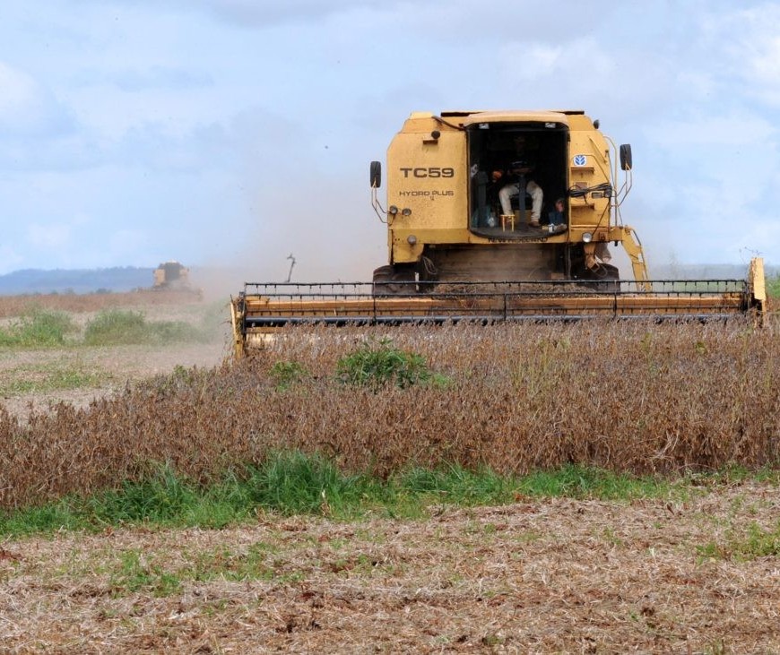 Agronegócio foi responsável por 76,6% das exportações do Paraná em 2019