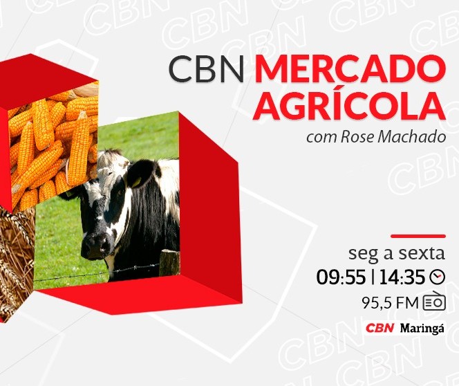 Trigo custa R$ 92 a saca em Maringá