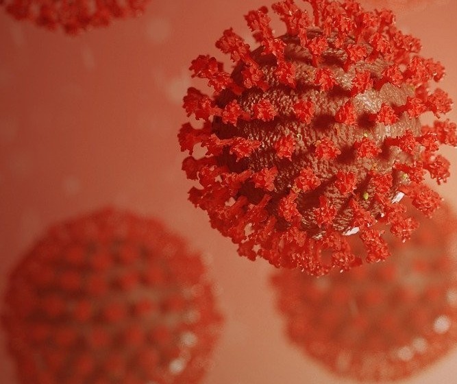 Vamos falar sobre... cinco meses de pandemia