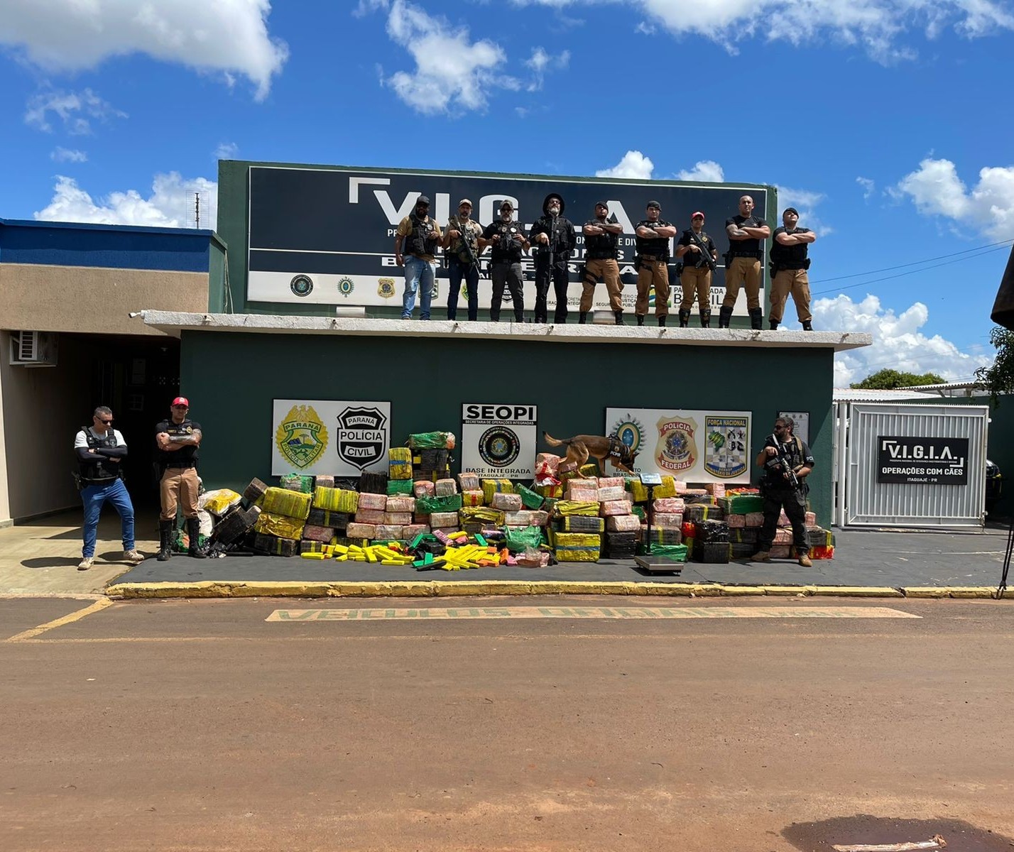 Denarc de Maringá apreende mais de 3,5 toneladas de maconha na região