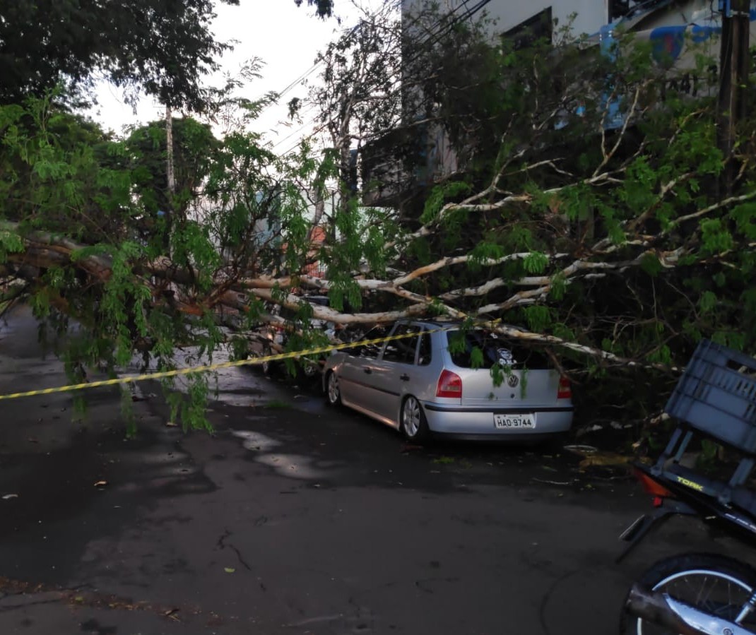 Chuva rápida causa estragos em Maringá 