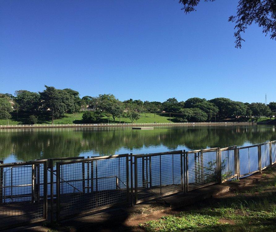 Maringá tem 20 bosques ou parques, muitos abertos à visitação pública