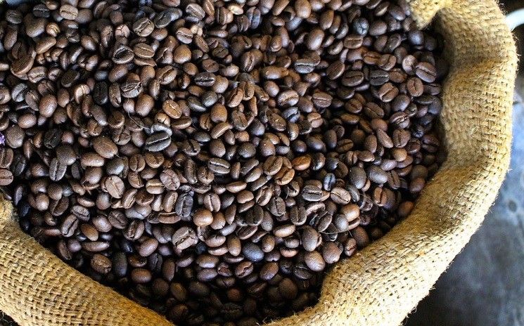 Número de exportações de café caíram 3,2% em novembro