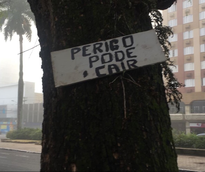 Você desconfia que muita árvore em Maringá pode cair?