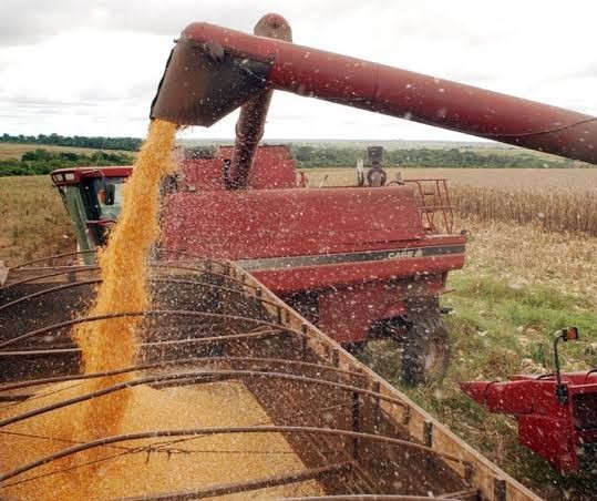 Produção de grãos do Brasil pode aumentar ainda mais com recuperação de áreas degradadas