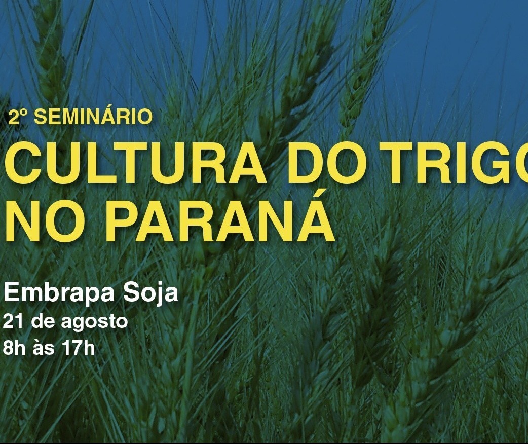 2º Seminário da Cultura do Trigo no Paraná inicia nesta quarta-feira (21) 
