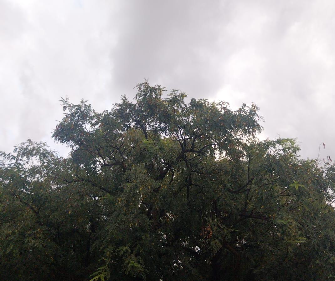 Domingo (13) de céu parcialmente nublado e com previsão de chuva