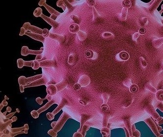 Confira os dados sobre coronavírus deste sábado (17) 