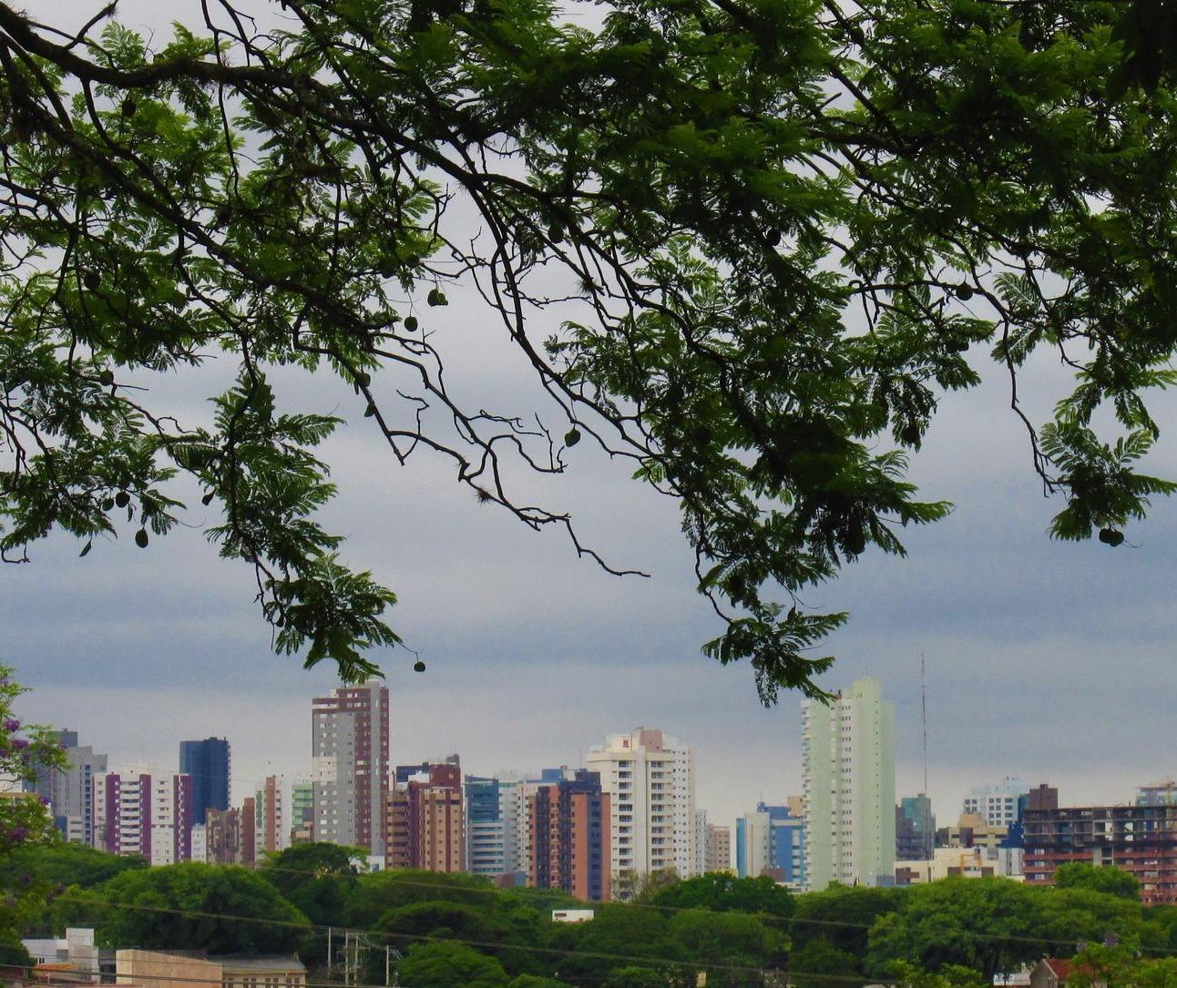 Segunda-feira (31) de céu parcialmente nublado em Maringá; veja previsão