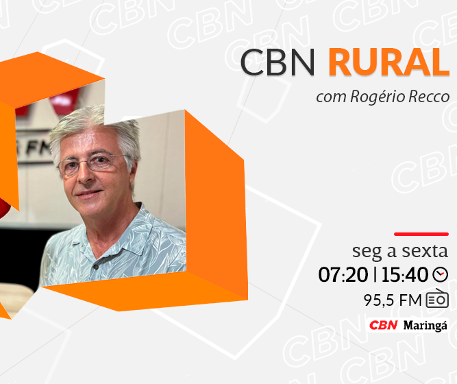 Preço do café perde força, mas continua remunerador