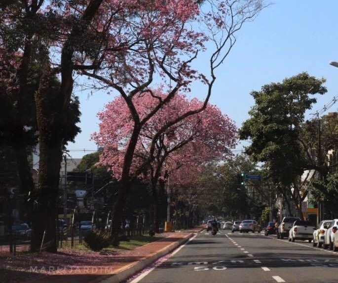 Quarta-feira (31) será de altas temperaturas em Maringá, aponta Simepar