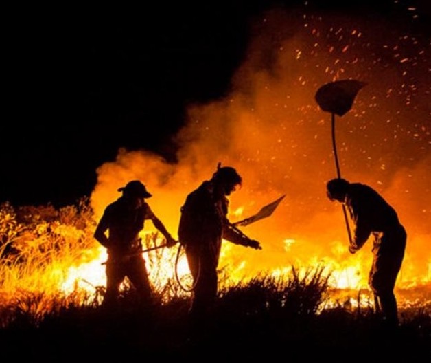 Decreto que suspende queimadas atinge regiões agrícolas de Maringá