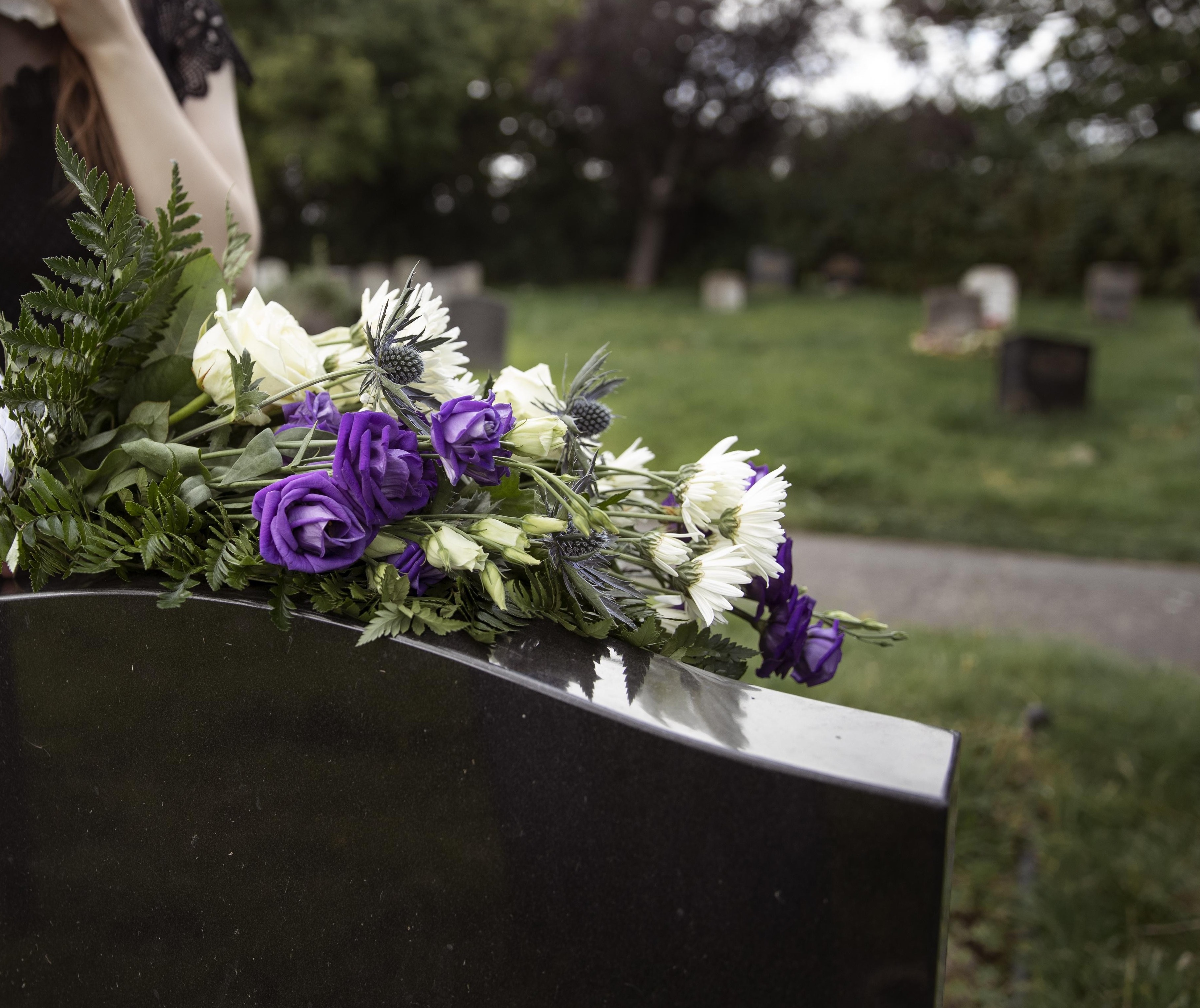 Pesquisa mostra variação de preços de flores para o Dia de Finados