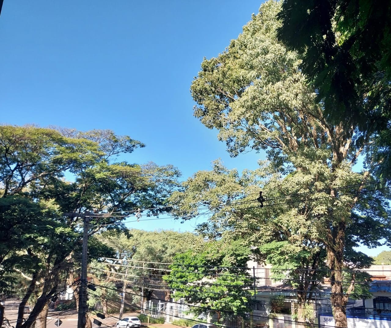 Sábado de sol e temperatura máxima de 24 graus