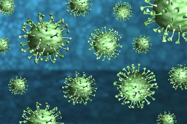 Maringá confirma mais três óbitos em decorrência da gripe H3N2