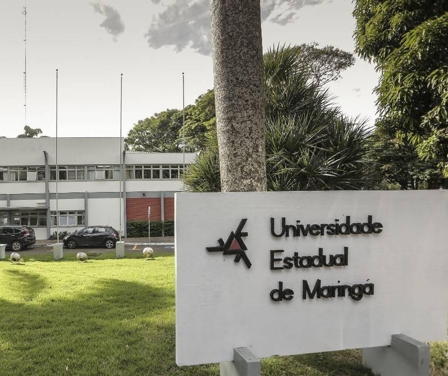 Conselho decide que aulas na UEM reiniciaram em 1º de agosto embora, na prática, ocorreu esta semana