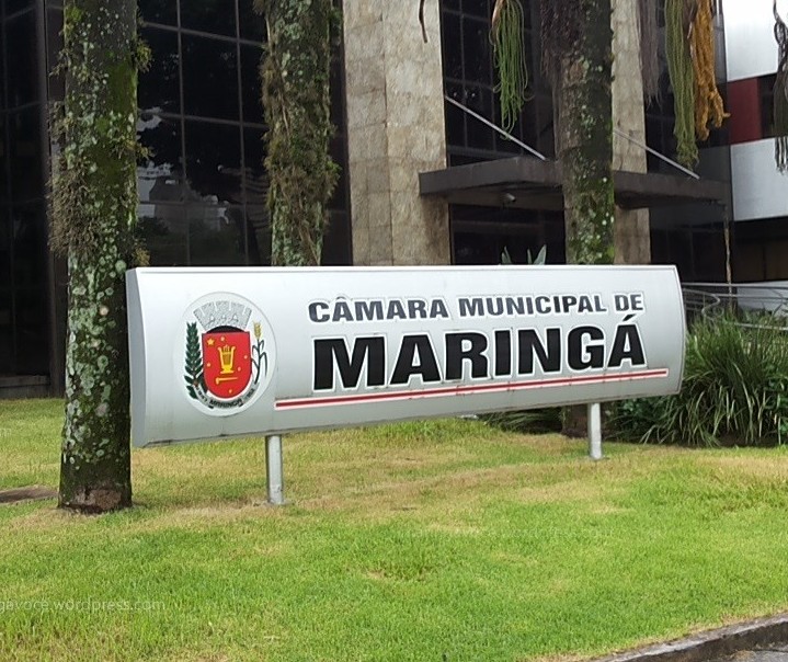 Câmara aprova lei que exige indicação de faixa etária para exposições artísticas em Maringá
