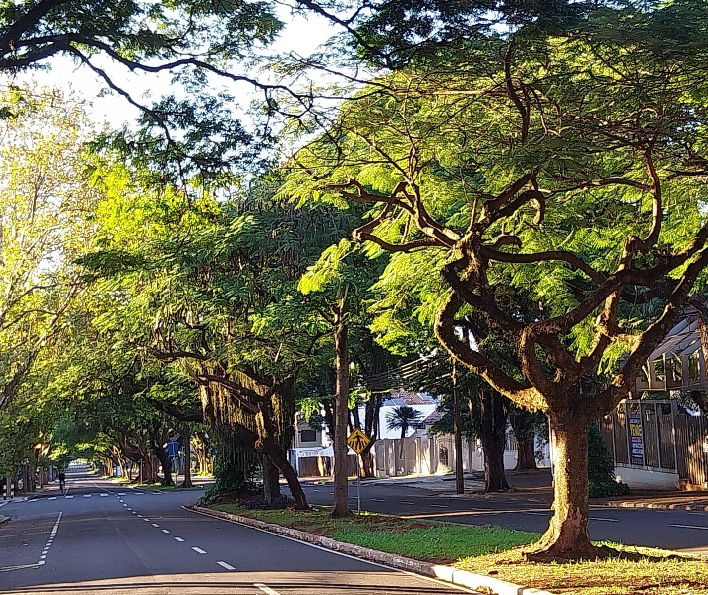 Veja como fica o tempo em Maringá nesta quinta-feira (01)