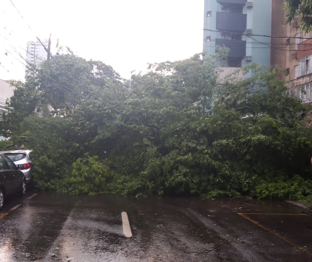 CBN Paraná repercute estragos do temporal do fim de semana