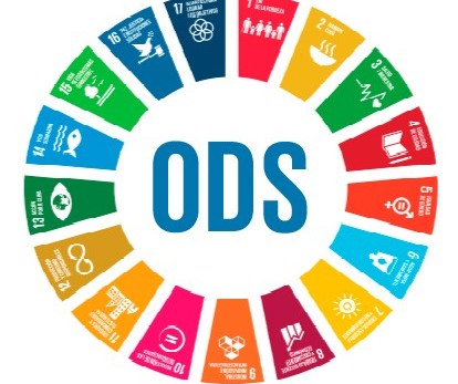 Paraná poderá ter projeto para Objetivos de Desenvolvimento Sustentável