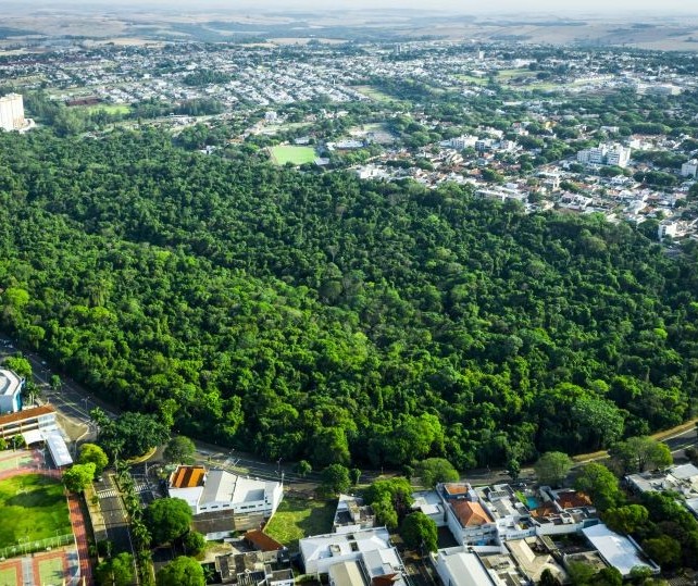 Semana do Meio Ambiente em Maringá começa nesta quinta-feira (2)