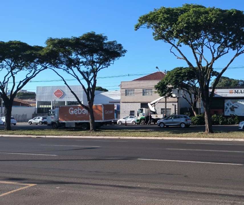 Ouvinte fica indignado com poda de árvores na Avenida Colombo