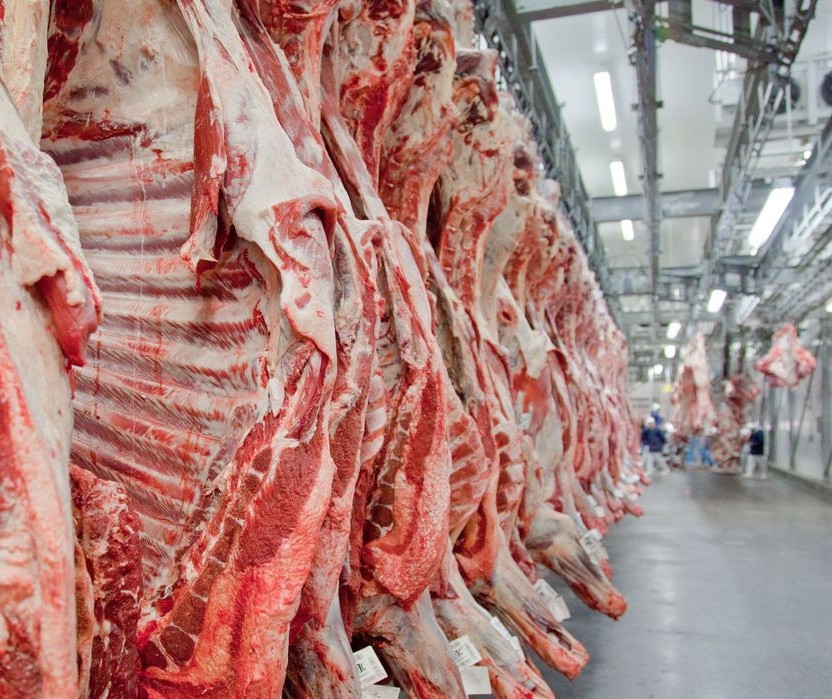 Em 2020 a oferta de carnes por habitante será mantida no Brasil