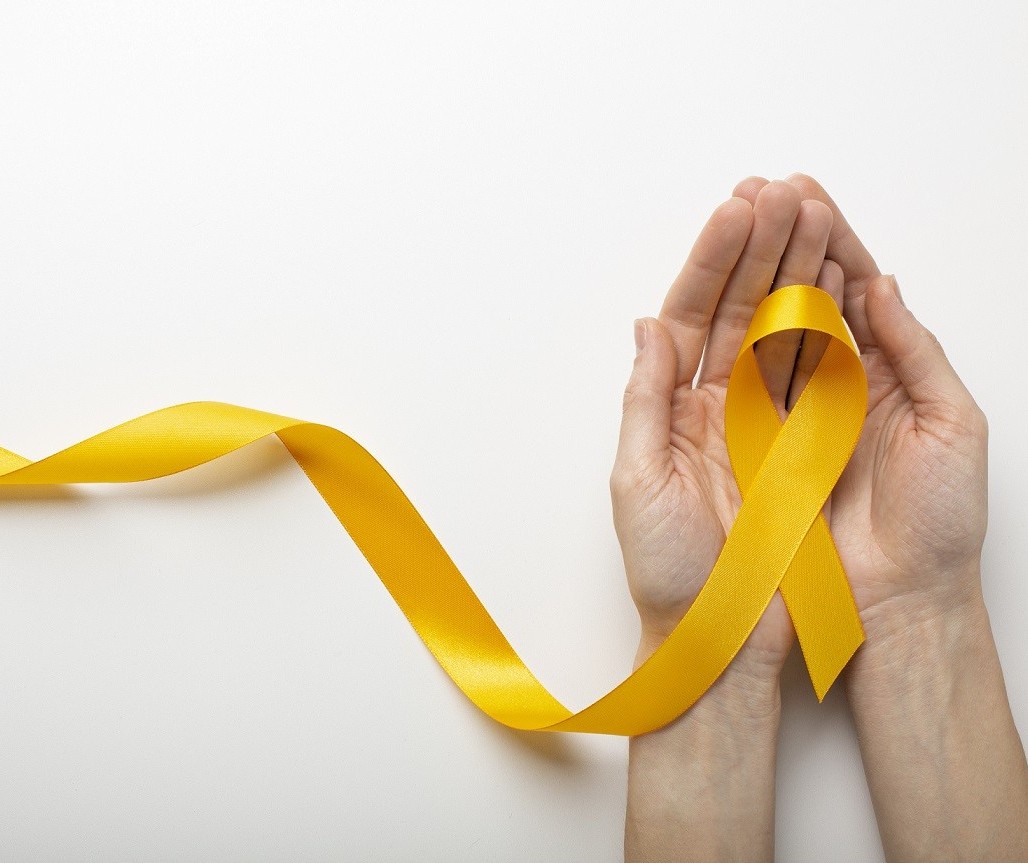 CVV abre inscrições para capacitar novos voluntários