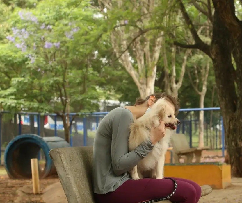 Pets também sofrem com doenças crônicas e degenerativas