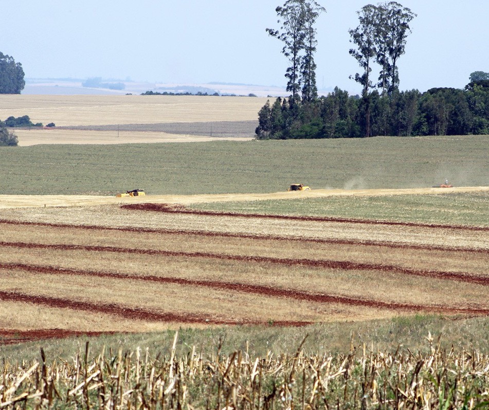 Paraná pode perder o 2º lugar na produção de soja para o RS