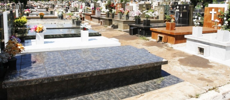 “Analisar a legislação sobre serviços funerários não coube a nós”, diz vereador