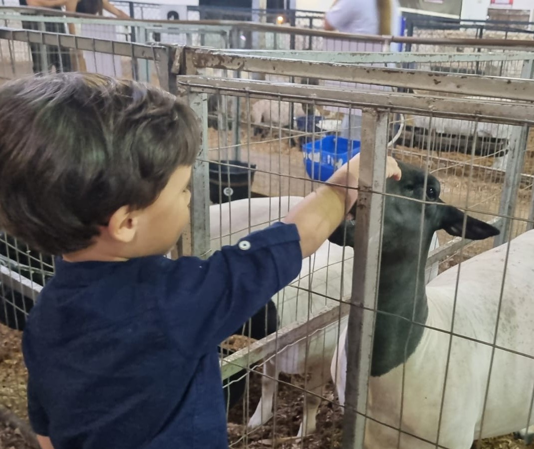 Crianças têm primeiro contato com animais na Expoingá