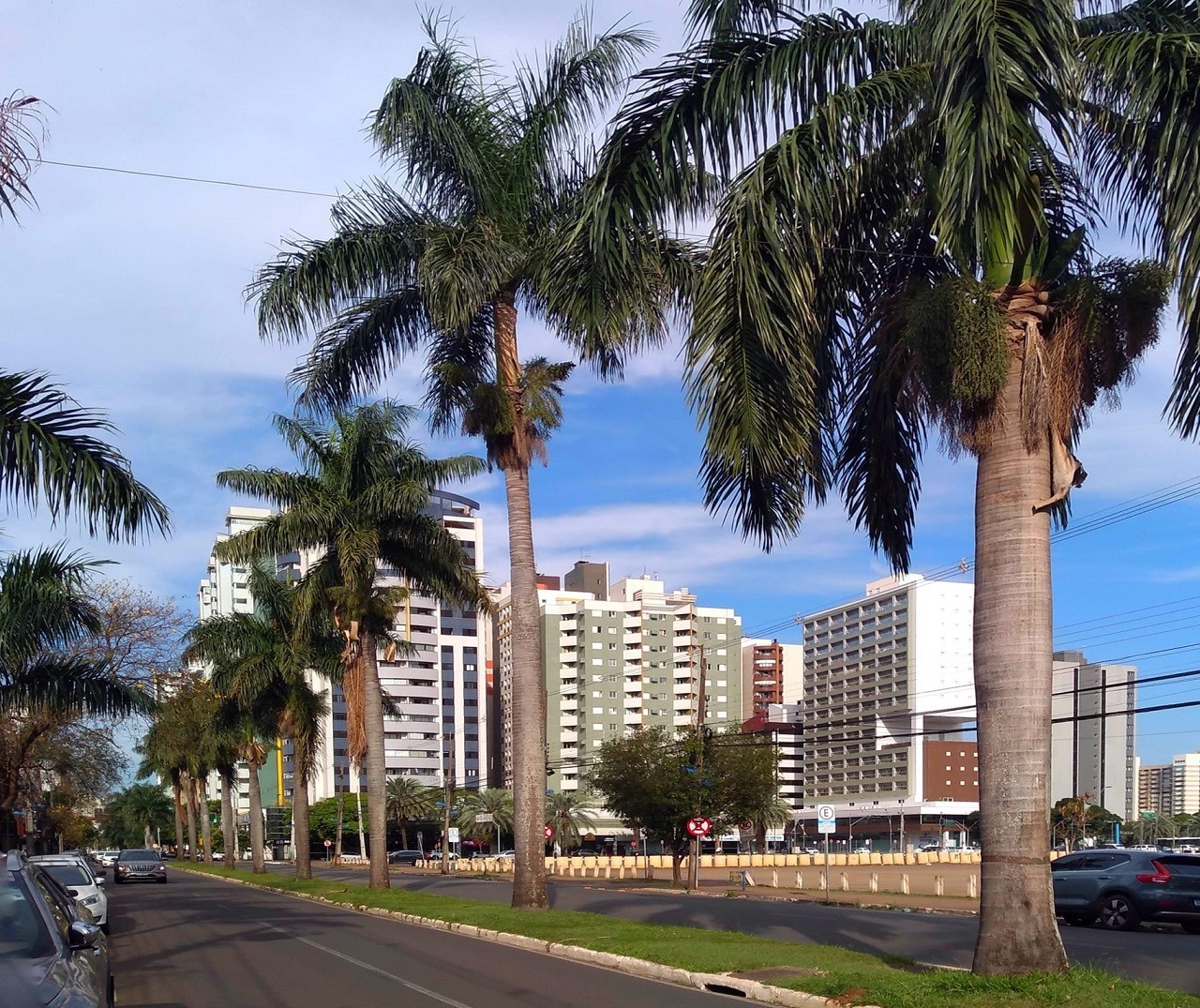 Sexta-feira (5) de calor e tempo firme em Maringá; máximas seguem altas no fim de semana