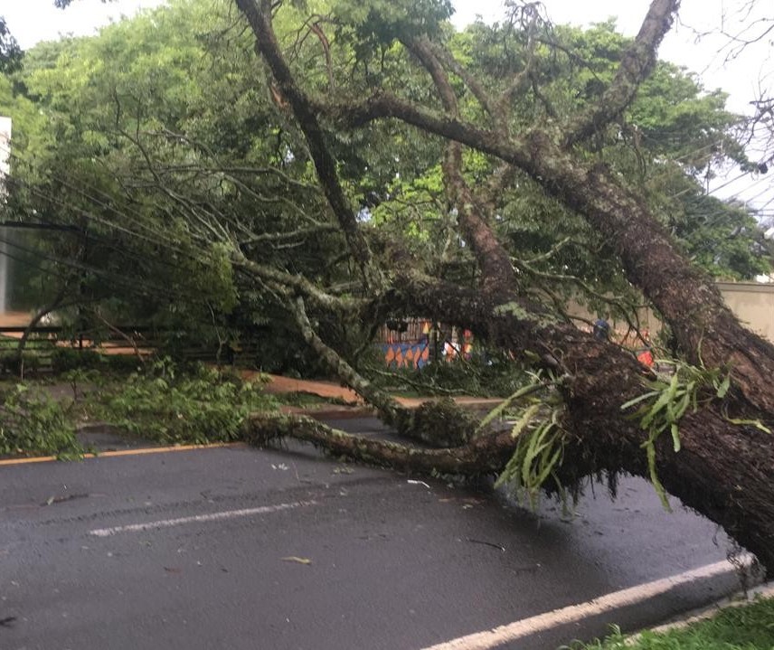 Maringá registrou ventos de 82 km/h e 99 mm de chuva durante o temporal