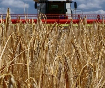 Agronegócio cresce em relação ao PIB