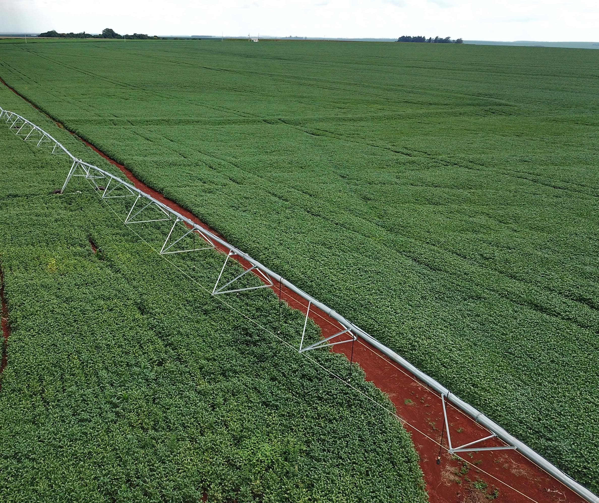 Preço dos principais fertilizantes sofrem reajuste de mais de 350%