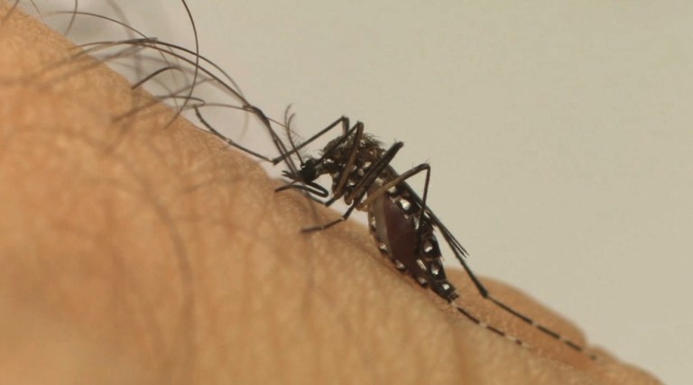 Mulher é o décimo óbito de dengue em Maringá