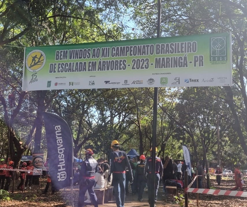 Campeonato Brasileiro de Escalada em Árvores começa nesta sexta-feira (15)