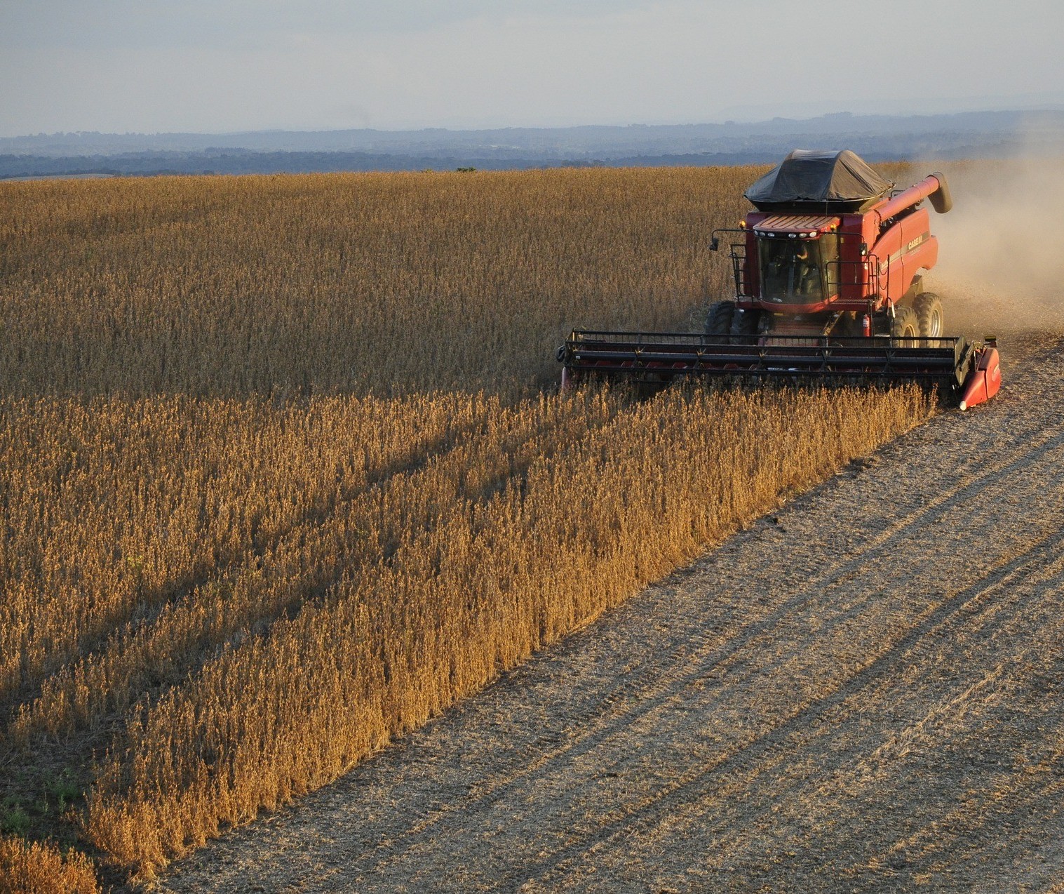 CMN modifica alíquotas para contratação do Proagro na safra 2020/21