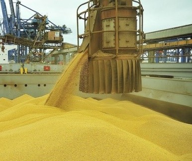 Brasil é o 2º maior exportador mundial de alimentos em volume