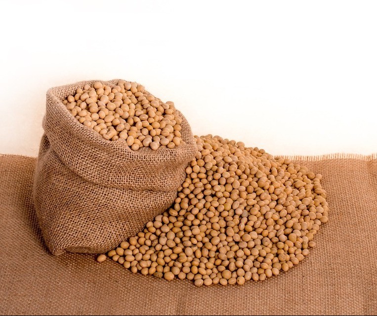 Confira os preços agrícolas desta quarta-feira (24)