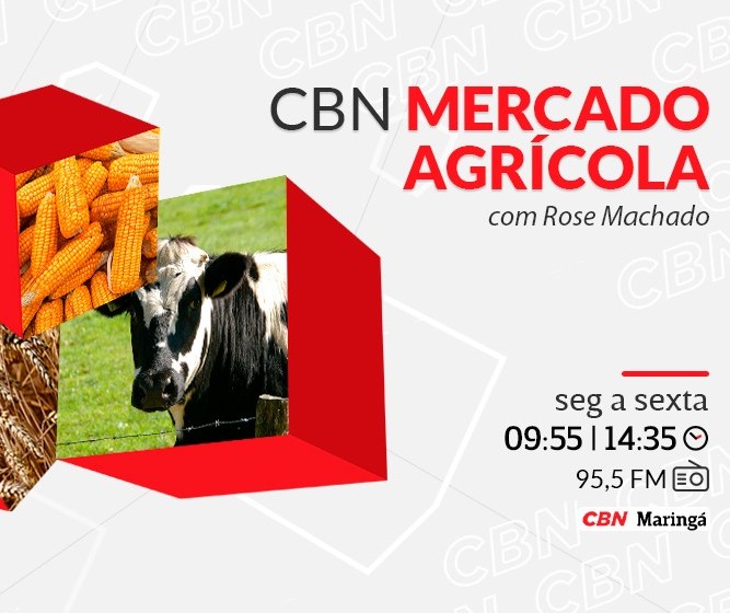 Trigo custa R$ 94 a saca em Maringá e Cascavel