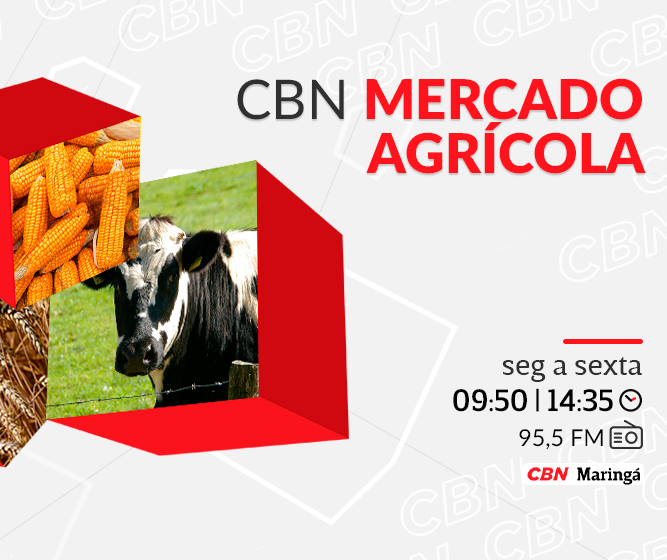 Café beneficiado é vendido a R$ 2.409,00 a saca de 60 kg
