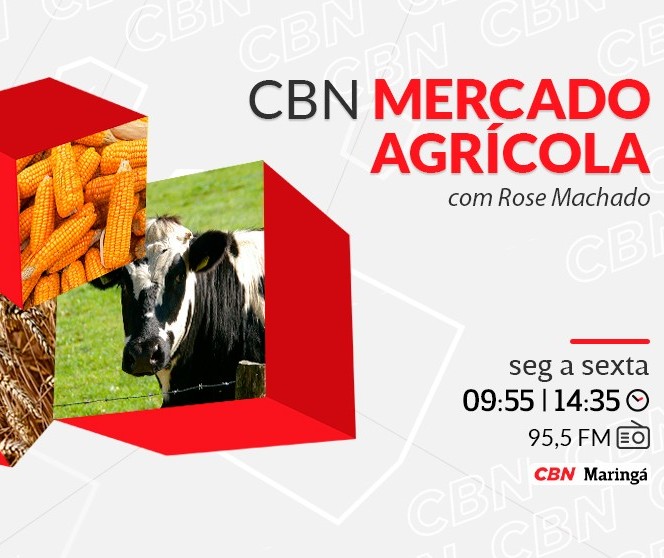Trigo custa R$ 92 a saca em Maringá